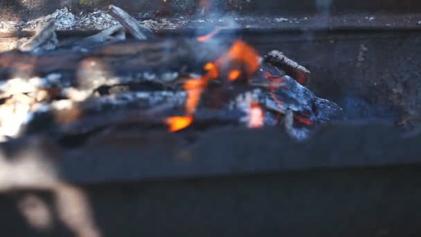 Κούτσουρα που καίνε με μια φωτεινή φλόγα — Αρχείο Βίντεο