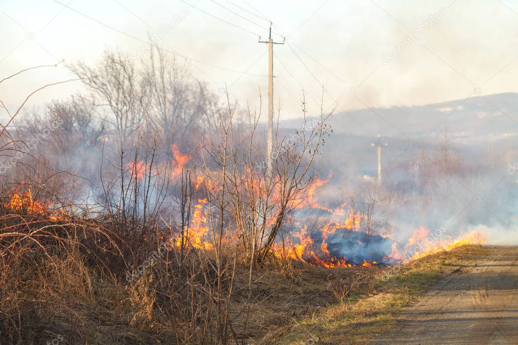 In early spring, fire spreads through dry vegetation, burning everything in its path. Heavy smoke and large fires harm agriculture and cause environmental damage.