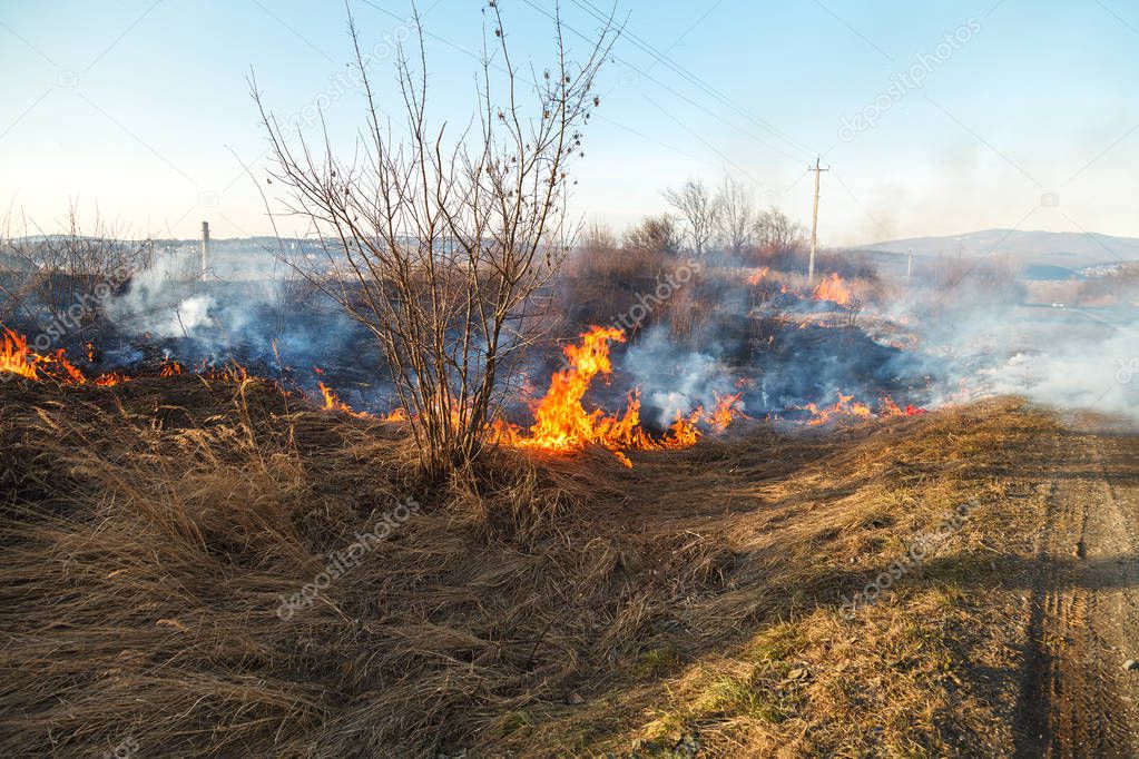 In early spring, fire spreads through dry vegetation, burning everything in its path. Heavy smoke and large fires harm agriculture and cause environmental damage.