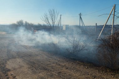 Kuru ot ve ağaç dalları yol boyunca bir büyük ateş etmek yok eder.