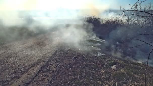 Egy nagy tűz láng elpusztítja a száraz fű és fa ágai, az út mentén. — Stock videók