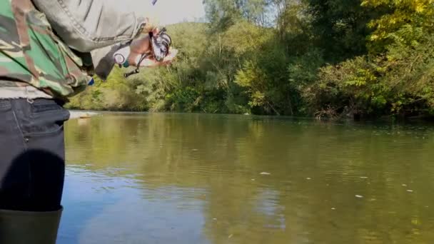 Een Jong Mooi Meisje Staat Een Rivier Vangt Een Draaiende — Stockvideo