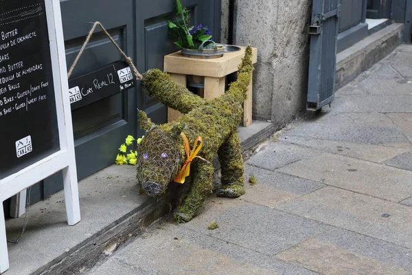 Girona Spanya Mayıs 2017 Bir Köpek Çiçek Çiçek Festivali Gün — Stok fotoğraf