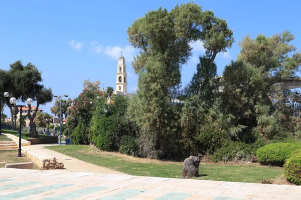 Τελ Αβίβ Ισραήλ Σεπτεμβρίου 2017 Αυτό Είναι Πάρκο Abrash Old — Φωτογραφία Αρχείου