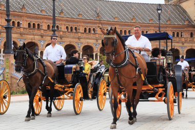 Sevilla, İspanya - 21 Mayıs 2017: Turist bir tur İspanya Meydanı'nın bir retro atlı arabaları vardır.