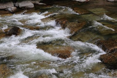 Sığ bir dağ dere taşlı bir alt ile fırtınalı su akışının olduğunu.