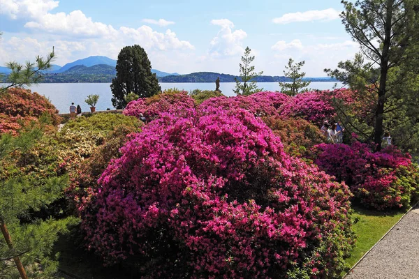 Stresa Italien Maj 2018 Det Blomma Gränderna Palatset Borromeo Och — Stockfoto