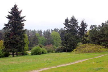 Ukraynalı bir şehir orman park kentsel alanda bu.