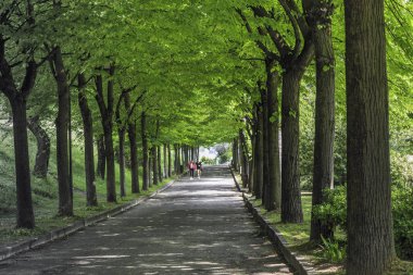 Sirmione, İtalya - 13 Mayıs 2018: Callas Park karanlık bir sokakta bu.