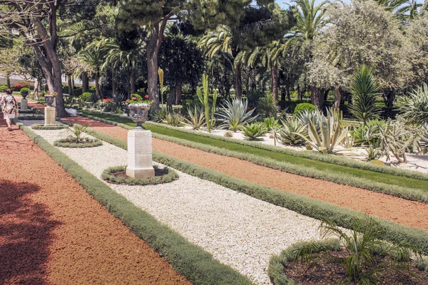 Haifa Israël Mei 2011 Dit Het Park Van Cactus Één — Stockfoto