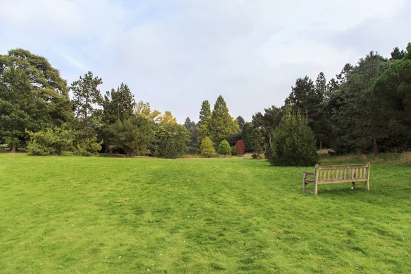 Bu sonbaharda bir manzara İngilizce bir park olduğunu.