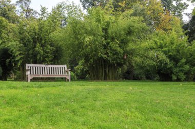 London, Büyük Britanya - 17 Eylül 2014: Bu bir sonbaharda Kew Gardens çeşitli bitki örtüsü arasında çimenler üzerinde yalnız bir tezgah olduğunu.