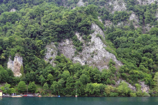 Este Fragmento Costa Rochosa Arborizada Lago Lugano — Fotografia de Stock
