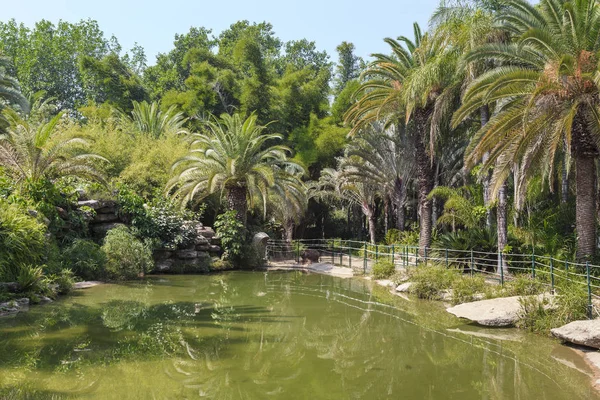 Yarkon Park, Tropische Tuin, Tel Aviv, Israël — Stockfoto