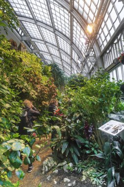 Kelebek Evi İçişleri, Viyana