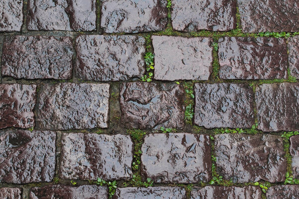 This is a fragment of an old cobblestone road in the rain.