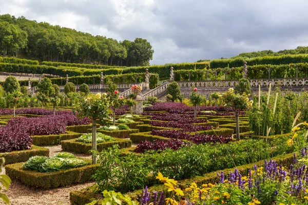 Villandry Francia Septiembre 2019 Este Fragmento Parte Los Jardines Vegetales —  Fotos de Stock