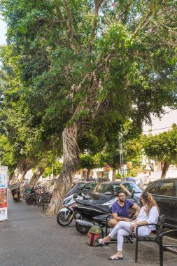 TEL AVIV, ISRAEL - 17 Eylül 2017: Bu şehrin sokaklarında büyüyen bir banyan ağacının şaşırtıcı ve alışılmadık gövdesi.