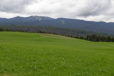 Bunlar Alplerin eteklerindeki kırsal otlaklar..