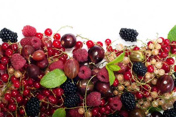 Bektaşi, böğürtlen, ahududu, beyaz zemin üzerine kırmızı ve beyaz kuş üzümü. Metin için yer. Orman ve ev çilek. Yararlı ve lezzetli mevsimlik yemekler