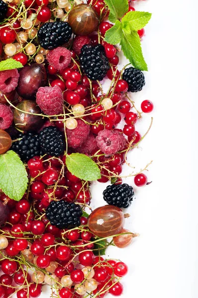 Gooseberries, blueberries, raspberries, red and white currants on a white background. Place for text. Forest and house berries. Useful and tasty seasonal food