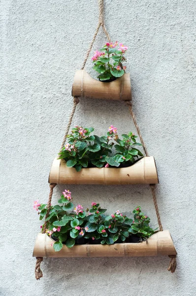 Element Decor Stand Flowers Wood Hanging Wall Decorative Flowers Shooting — Stock Photo, Image
