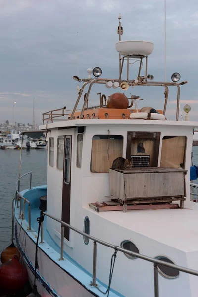 Gatto Che Protegge Barca Frammento Della Nave Tramonto — Foto Stock