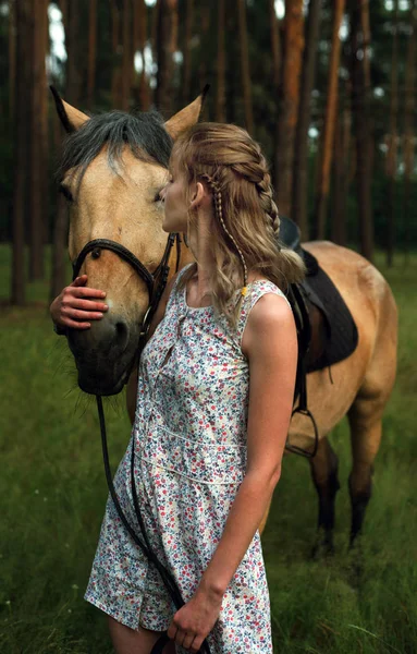 Young beautiful woman with a horse on the background of the fore — Stock Photo, Image