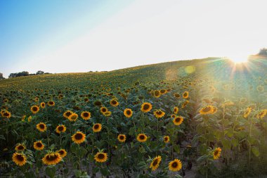 Türkiye 'nin Avrupa' da Günbatımı