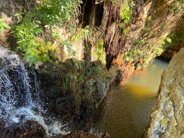 Cascade Dans Forêt — Photo