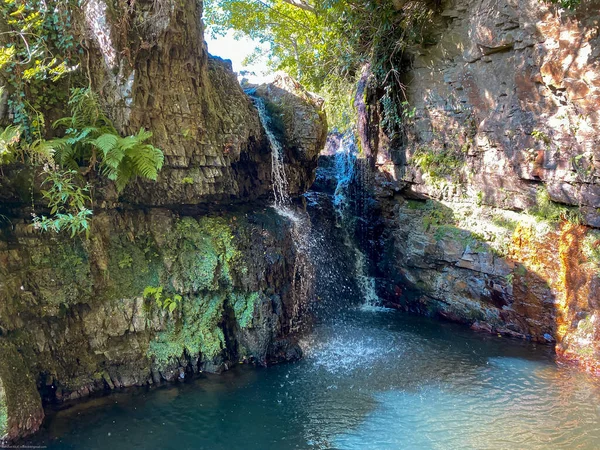 Cascada Bosque — Foto de Stock