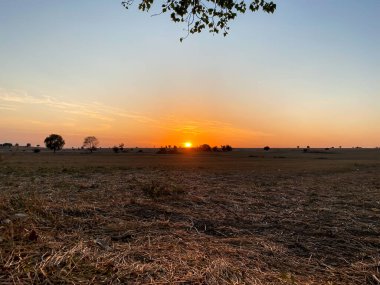 Açık havada gün batımı ve gökyüzü 