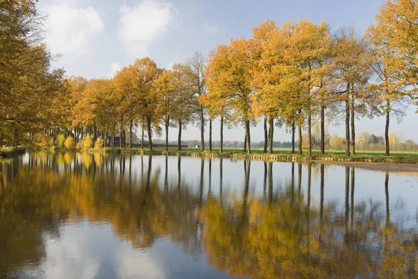 Hollanda sonbahar manzara