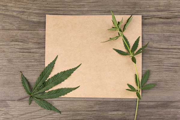 Hemp leaves and flowers with craft blank paper on old grunge wooden background. Top view. Minimalistic mockup.