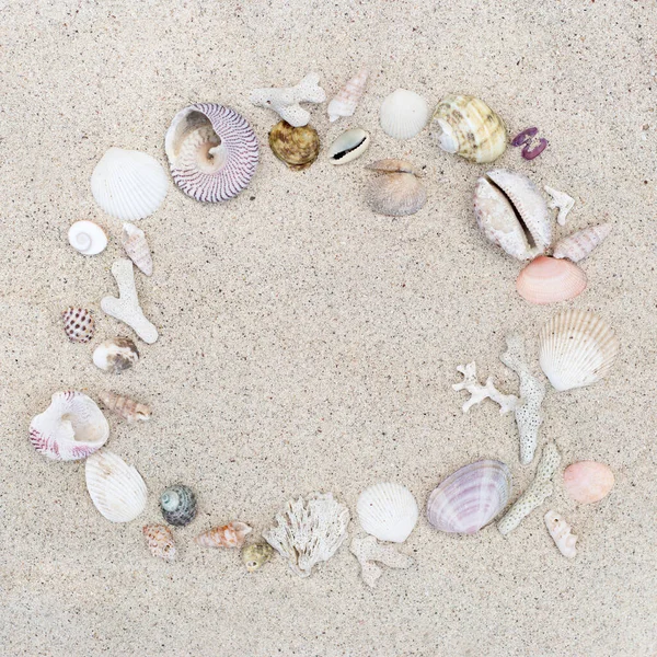 Seashells and corals round frame on sand background.