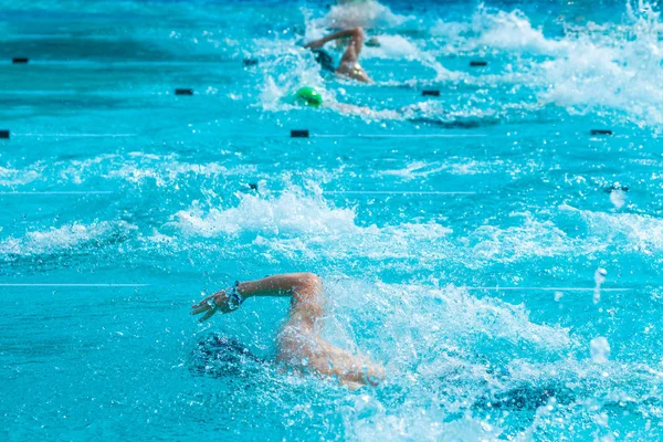 Male swimmers working on their freestyle swimming at a local pool on a bright sunny day