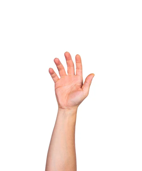 Männliche bloße Hand erhebt sich vor weißem Hintergrund — Stockfoto