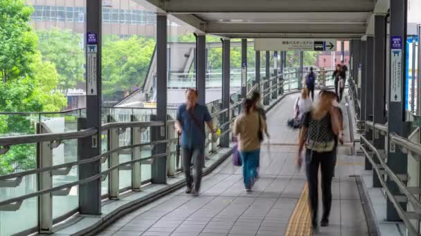 Fukuoka Japón Julio 2019 Los Peatones Caminan Por Puente Peatonal — Vídeos de Stock