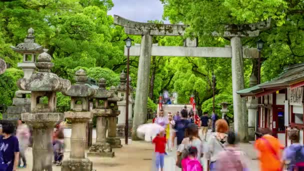 Dazaifu Japón Julio 2019 Los Turistas Los Japoneses Locales Entran — Vídeo de stock