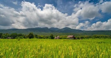 Tayland, Chiang Mai 'deki Huai Thung Tao gölündeki pirinç tarlasında hareket eden bulutların zamanı.