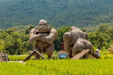 Chiang Mai, Tayland - 12 Eylül 2020 - Tayland Chiang Mai, Tayland 'da turist ve ziyaretçiler için Huai Thung Tao Gölü' nde samandan yapılmış goril heykelleri ve diğer hayvanlar sergilenmektedir.