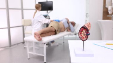 Böbrek ve böbrek ultrasonu. Böbrek sonografisi kontrolü yaptıran bir hasta klinikteki sonograf ve ultrason cihazının yanında tıbbi kanepede oturuyor.
