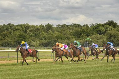 Magdeburg, Almanya - 24 Juni 2017: at yarışı. Yarış atları sürme jockeys arasında zorlu mücadele