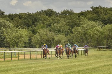 Magdeburg, Almanya - 24 Juni 2017: Zorlu mücadele yarış ata binerek jockeys arasında. Yarış pisti Magdeburg