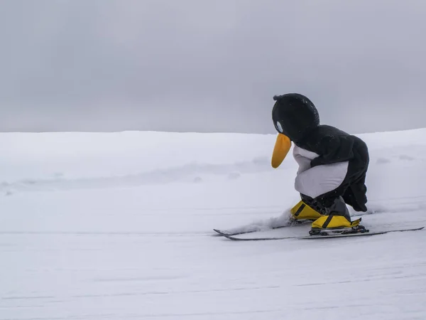 Zams Oostenrijk Februari 2015 Skischool Skigebied Ski Instructeur Pinguïn Kostuum — Stockfoto