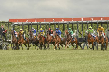 Magdeburg, Almanya - 24 Haziran 2017: at yarışı başlangıcı. Yarış atları sürme jockeys arasında zorlu mücadele