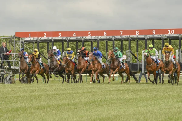Magdeburg, Almanya - 24 Haziran 2017: at yarışı başlangıcı. Yarış atları sürme jockeys arasında zorlu mücadele