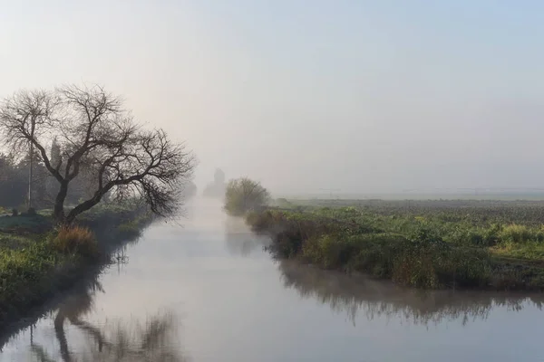 Nature fog landscape at sunrise with river in the Hula Valley, in Israel