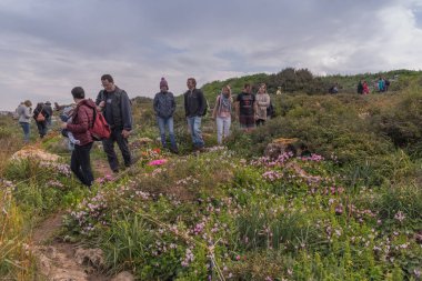 Maagan Michael, İsrail - 20 Şubat 2019: İnsanlar yabani çiçeklerin açtığı bir alanda yürüyorlar. İsrail doğasının bahar manzarası