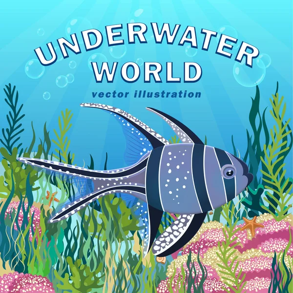 Banggai cardinal fish at the bottom of sea with colorful algae drawing, underwater world background. Violet yellow fish with white spots floating on illuminated bottom of ocean. Vector illustration — Stock Photo, Image